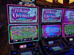 875bet